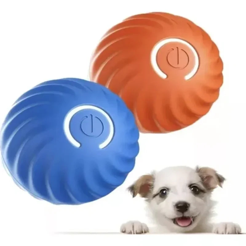 PACK PELOTA PARA MASCOTAS