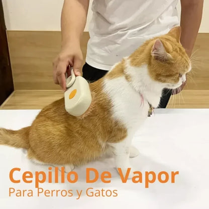 CEPILLO MASCOTA VAPOR